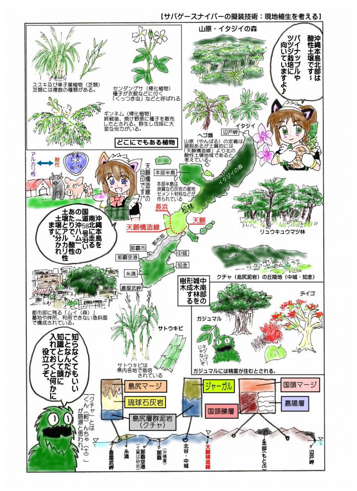 漫画 沖縄の自然を描くための資料 しまこみ 沖縄漫画やサブカルチャーを応援するマンガ配信サイト しまんちゅコミックス